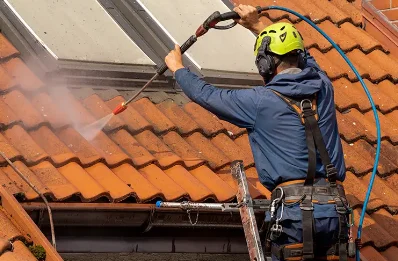 Démoussage et hydrofuge de toiture à Pins-Justaret